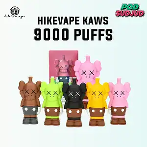 พอคใช้แล้วทิ้ง kaws 9000 puffs