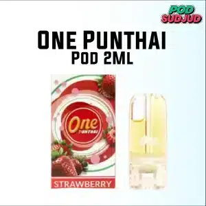 one punthai pod-09