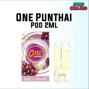 one punthai pod-13